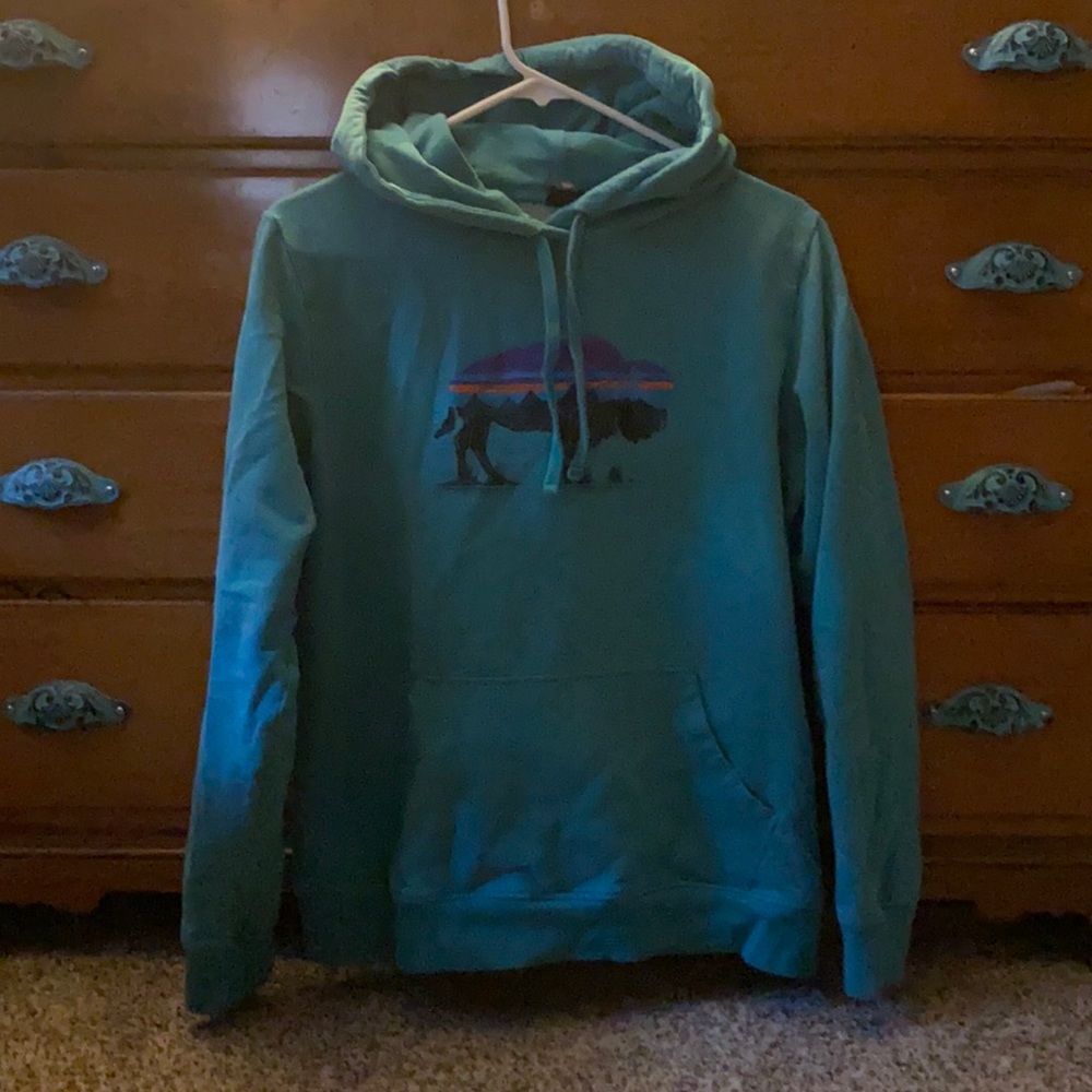 Patagonia hoodie